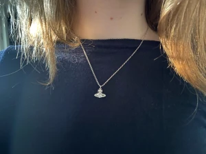 Vivienne westwood halsband - Jätte fint halsband från Vivienne Westwood, kjedjan är 43 cm lång. Dustbag och box tillkommer!