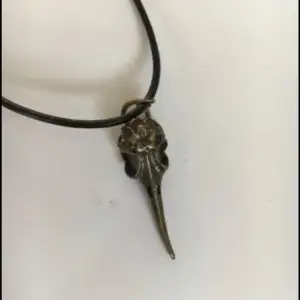 Ett halsband perfekt för halloween med en döskalle från fågel som hänger från läderband 