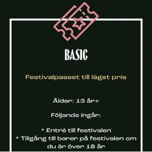 Brännbollsyran biljett basic - Har tyvärr blivit sjuk så kommer inte kunna gå på yrran, säljer därav av min basic biljett som ger inträde till alla tre dagar