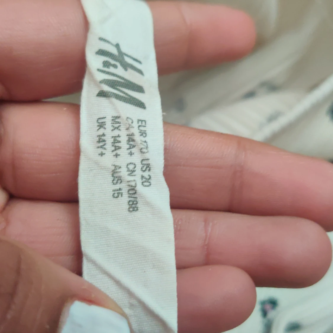 En vit blomning trjöa  - 90