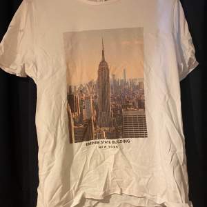 Empire State Building t-shirt 