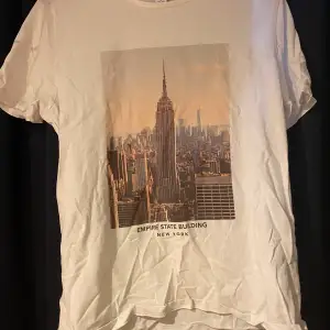 Empire State Building t-shirt 