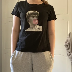 T-shirt men tryck  - Superfin T-shirt med tryck i från shein i storlek M. Väldigt skön, och knappt använd. 💕