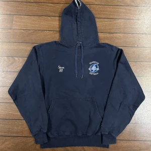 Champion Fastpitch Hoodie - Snygg vintage champion Hoodie i storlek M! Bara att skriva om du undrar över något🙏