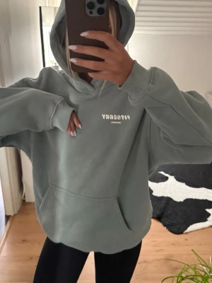 Fitberry hoodie  - Slutsåld fitberry hoodie i färgen Sage Green, strl S, skit fin!! 