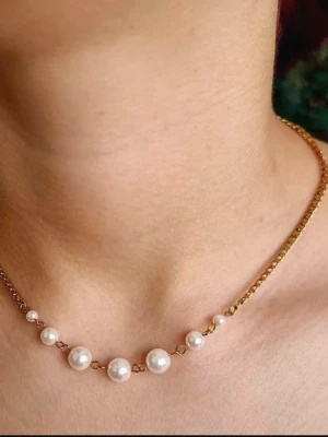Stilfullt halsband  - Rostfritt stål, strl 40