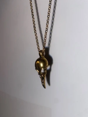 bird skull necklace  - Brand new gold bird skull necklace with a back chain that has a claw pendant. Can be shipped same day as purchased (or the day after if purchased past 20:00)