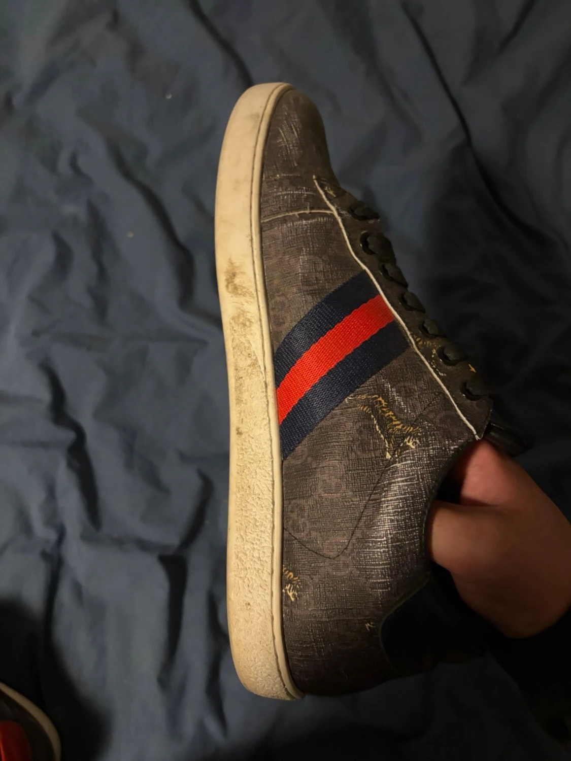 Gucci ace tiger  - 1