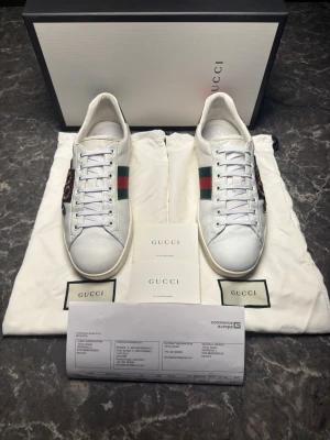 Gucci ace snake + kvitto - Säljer ett par otroligt snygga skor från det exklusiva märket Gucci! Skorna är i mycket bra skick, skulle säga ungefär 9/10 och säljs i befintlig skick. Nypris ligger på över 8000kronor men vi säljer våra för endast 2199 och kan gå ner i pris ännu mer vid snabb affär! Skorna är i storlek 44 men är lite stora i storleken. Skriv gärna ifall det är några funderingar, allt bästa SkoKapet