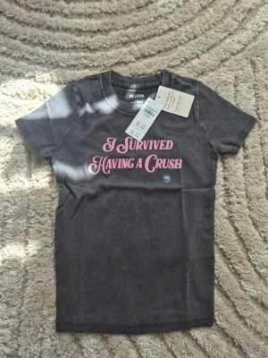 Supergullig grå Hollister t-shirt i xxs - Snygg grå t-shirt från Hollister med rosa texten 'I Survived Having a Crush' på bröstet. Rund halsringning och korta ärmar. Tillverkad i mjuk bomull som känns skön mot huden. Perfekt nu för sommaren. Skriv gärna om funderingar och prisförslag 🫶❤️