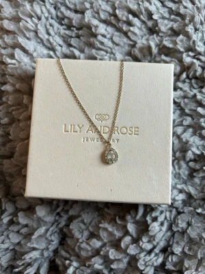 Guld Halsband - Bianca Halsband från Lily and Rose. Kedjan är i Guld och kristallen är klar. Halsbandet har använts men kedjans färg är intakt, mitten kristallen är en aning grumlig men fortfarande fin.   Pris kan sänkas vid snabb affär!        Nypris- 399kr