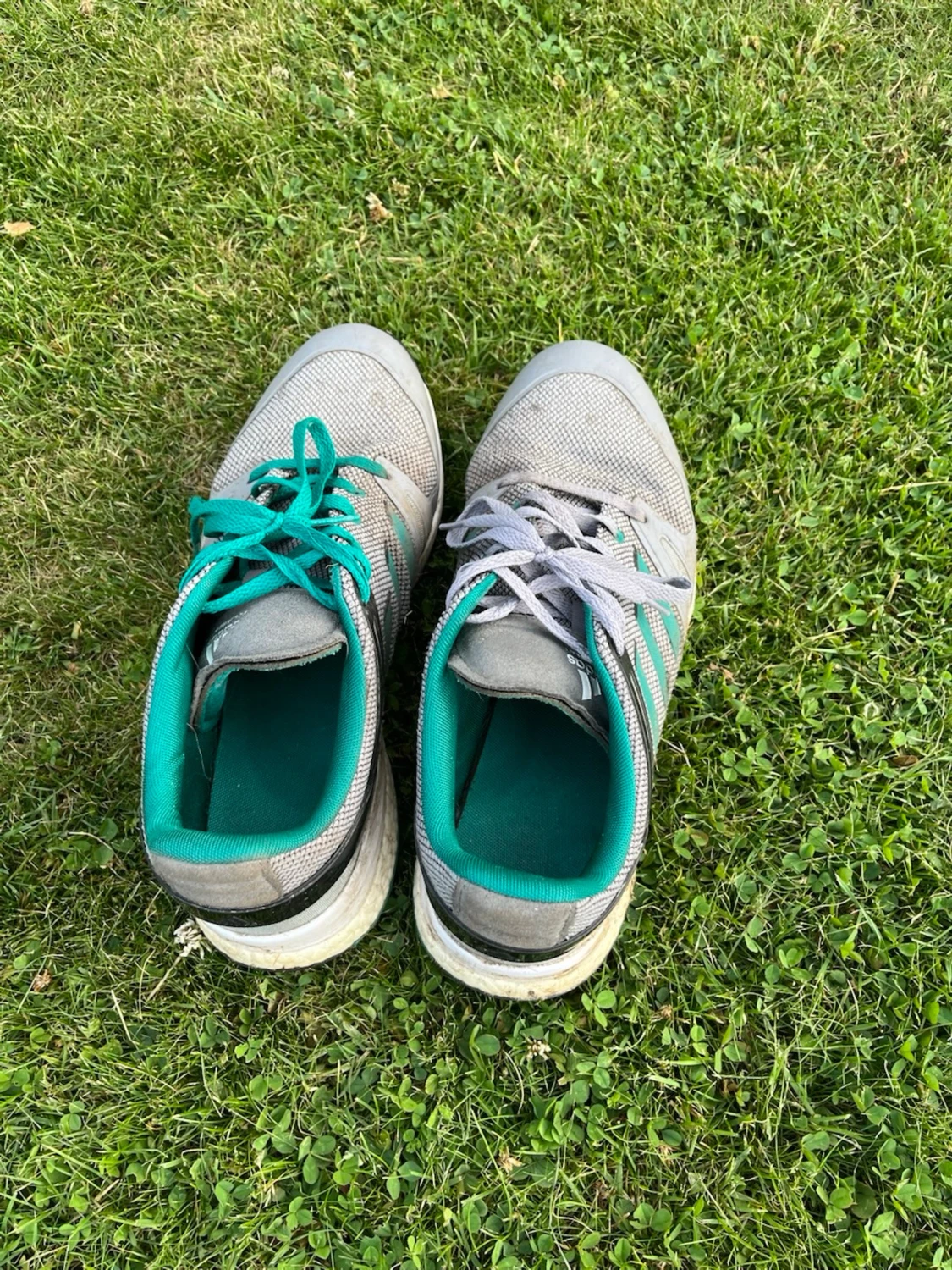 Grå sneakers med turkosa detaljer