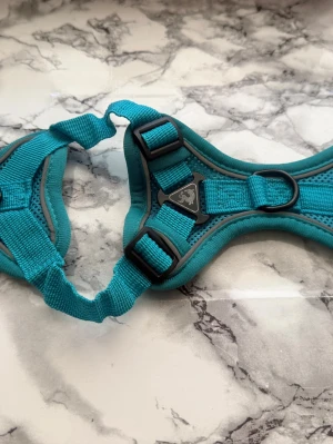 🐶💙 SÄLJER HUNDSÄLLE + KOPPEL 💙🐶  - Jättefint set till hund 😍✨   Turkos sele 💙🐾 + långt koppel på 1,5 meter 🐕    Tyvärr var det för litet för vår hund 😅 så bara provat och i princip helt nytt ✨    🐾 Storlek: S   🐾 Färg: turkos   🐾 Koppel: 1,5 m långt   🐾 Skick: nytt / oanvänt    Perfekt för promenader, träning och vardagsbruk 🌿🐕   Lätt och bekvämt set 💙  