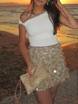 Paljettkjol zara - Så fin paljettkjol från zara. Använd 1 gång. Som ny. 