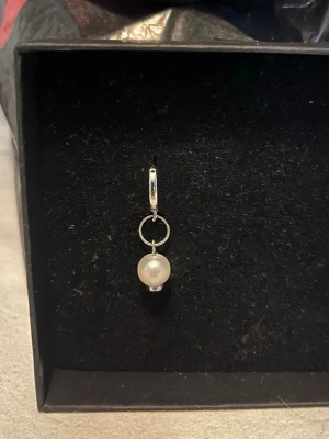 Silverörhänge - Ett silverörhänge som även finns att köpa i par så kolla mina andra annonser! Det är rostfritt stål.