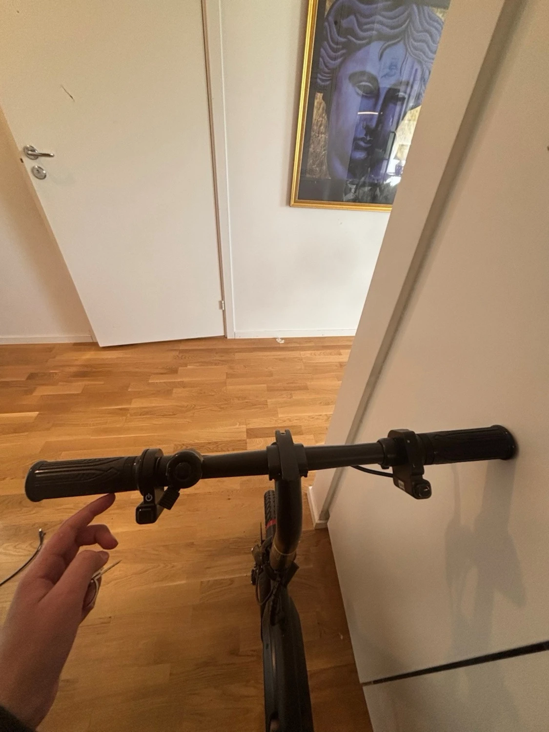 Dyu D3F Elscooter/Elcykel - 1