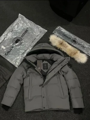 Grå dunjacka från Canada Goose - Säljer en grå dunjacka från Canada Goose med avtagbar huva och äkta pälsdetalj. Jackan har dragkedja, knappar och två stora fickor framtill. Perfekt för kalla vinterdagar och riktigt snygg streetstil.