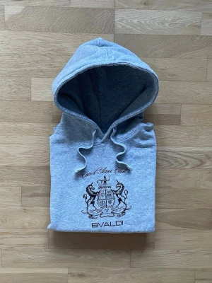 Bvaldi hoodie - Bvaldi hoodie | Skick 8,5 | Nyrpis 900kr mitt pris endast | Storlek S | Priset är ej hugget i sten! 🪨 | Hör av dig vid minsta fråga eller fundering!😊