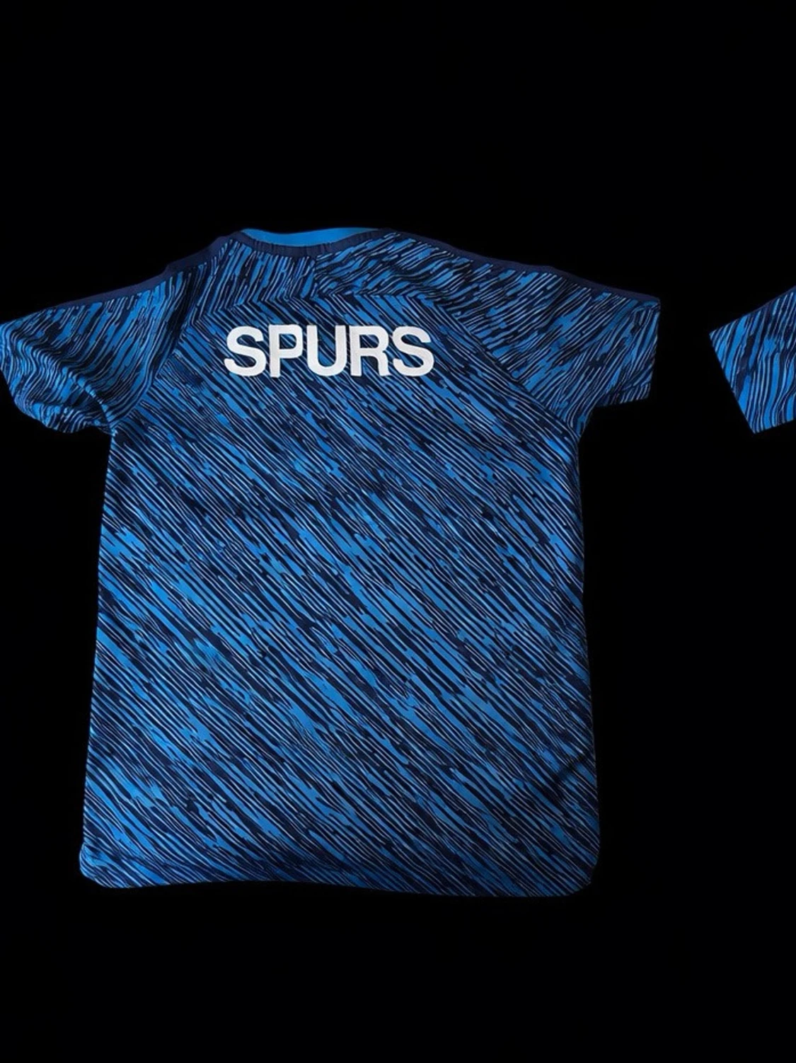 Blå Tottenham Hotspur träningströja