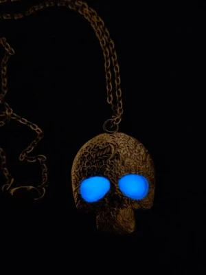 Halsband med dödskalle och blå ögon i rostfritt stål  - Unikt halsband i rostfritt stål med ett dödskallehänge som har detaljerade mönster och två lysande blå ögon, som också är i rostfritt stål. Kedjan är tunn och smidig, och hänget har en cool, nästan mystisk vibe. Perfekt för dig som gillar statement-smycken och vill sticka ut.