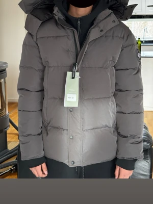 Grå dunjacka från Canada Goose - Säljer en grå canada goose jacka. HELT ny och oanvänd. Endast 1499kr. (pris kan diskuteras vid snabb affär) Hör av dej vid intresse! 😉