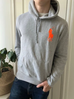 Ralph lauren hoodie big pony  - Ralph lauren hoodie big pony - riktig vår hoodie! Inga defekter! Modellen i bilderna är 180 cm 75 kg och bär Storlek L , Kom med frågor! 🌟 (Kan gå ned i pris vid köp av paket 😉) 