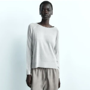 Glitter tröja från zara - Säljer nu min sparsamt använda glitter tröja ifrån zara, köpt i höstas, nypris 299kr mitt pris: 170💖