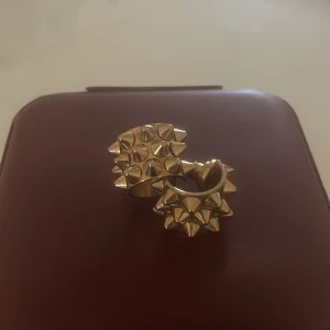 Guld örhängen  - Guld örhängen från Edblad🩷