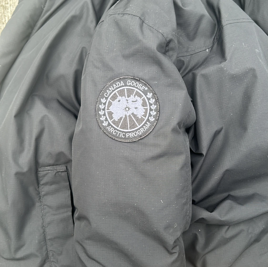Canada goose i mycket bar sick  - 91