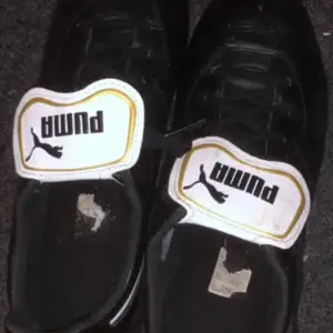 Detta är ett par 43 Puma kings, de är i sjukt bra skick då de använts 2 träningar! Skriv för mer info!