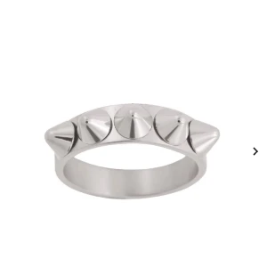 Edblad ring - Säljer min jättefina ring med nitar från Edblad. Jättebra skick. Storlek 17,5 