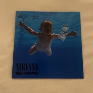 Nirvana vinylskiva - Nirvana vinylskiva helt oanvänd i perfekt skick! Säljer då jag inte har vinylspelaren drf Inge användning för den, 100kr+frakt