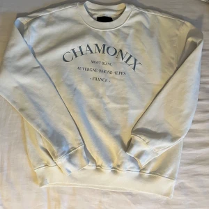 Sweatshirt - Säljer dina tröjan pga att den inte kommer till användning längre.  Inga skador eller fläckar. 