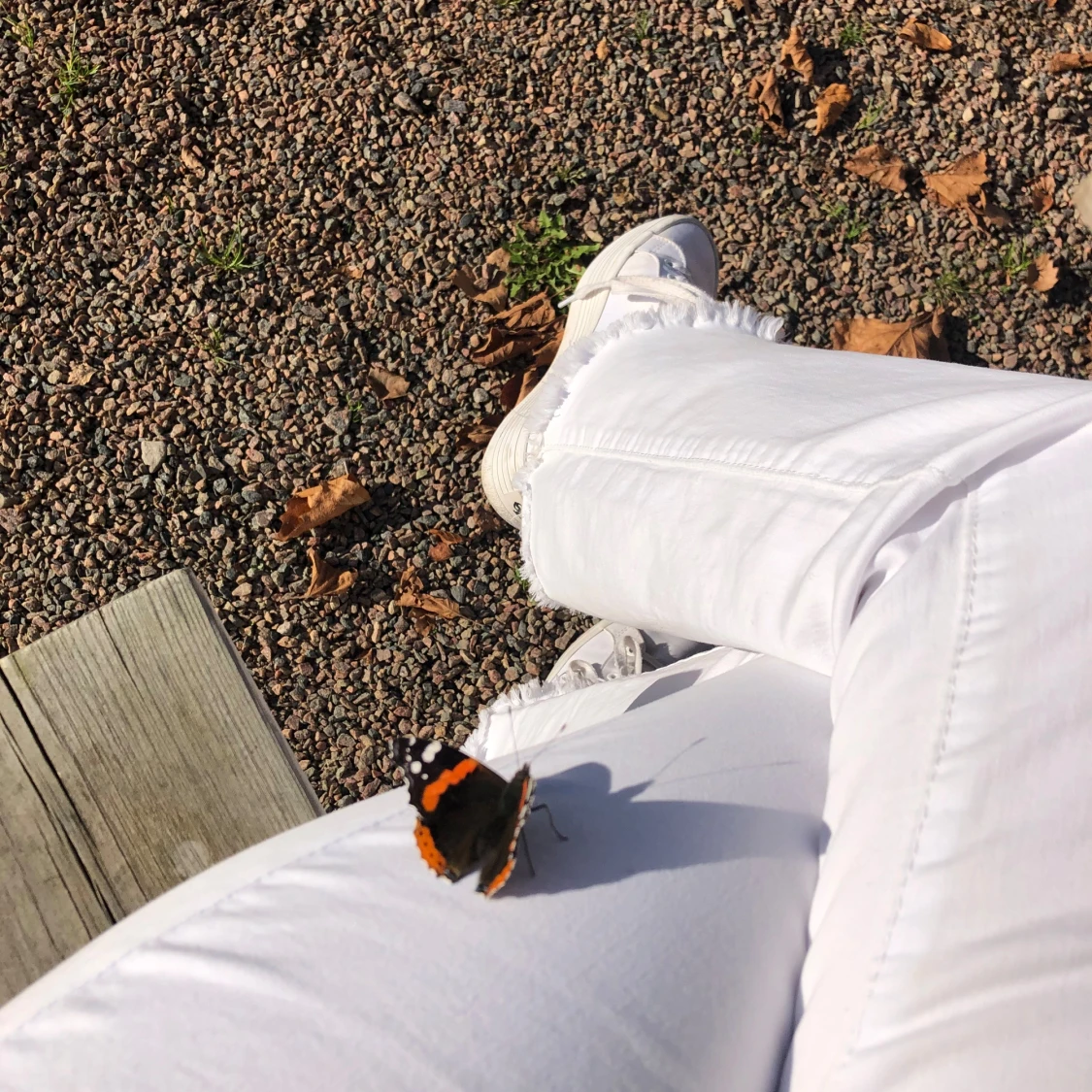 Vita flare jeans  Jewelly 