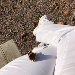 Vita flare jeans  Jewelly  - Storlek 36/S. Dessa är superfina och otroligt sköna. Sitter fint tack vare mycket stretch i tyget, men inte genomskinliga. Andvända endast ett par gånger. Köpt från Pondus, originalpris 600kr