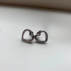 örhängen  - rostfritt stål 