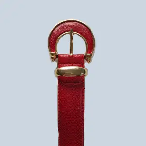 Rött bälte med guldsmycke som knappt är använt och i jättebra skick!