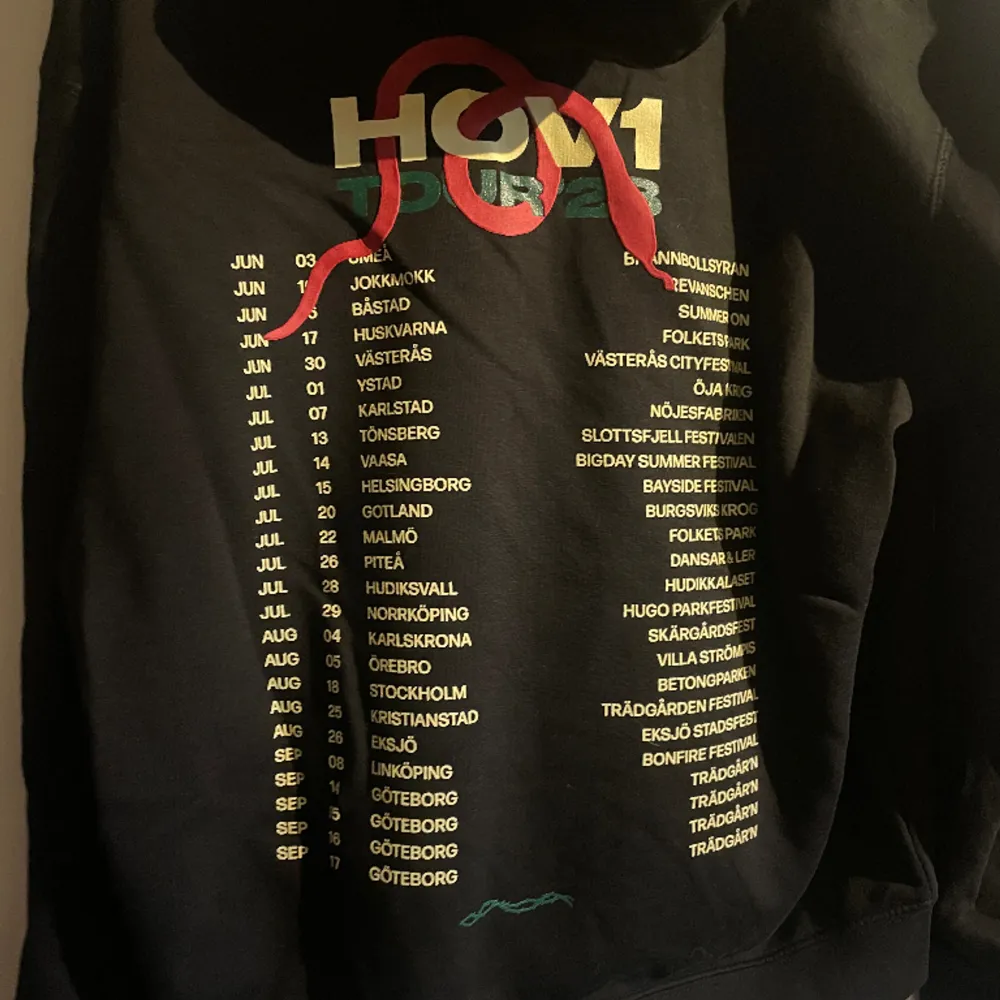 Hov1 hoodie från en av deras konserter som aldrig kom till användning. Den är i bra skick, knappt använd!. Hoodies.