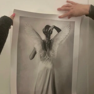 2 posters Tove Frank  - 50x70 fint skick  Ordpris 249kr styck. 