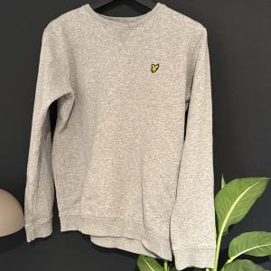 Grå lyle and skott tröja  - 14/15 år bra skick 