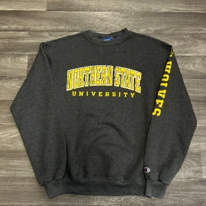 Champion Northern State Sweatshirt - Snygg college sweatshirt i storlek S ifrån champion! Bara att skriva om du undrar över något🙏
