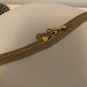 guld halsband i rostfritt stål köpt för 699:-  i nytt skick