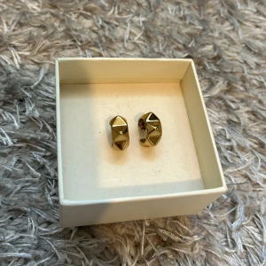 Edblad örhängen  - Inte använda mycket! Saknar plupp på ena för den passade inte när dom kom, medföljer en annan! Org pris 400