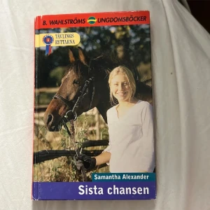 Ungdomsbok - Sista chansen hitter boken