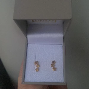 Guldörhängen  - Säljer dessa stjärnörhängen från HallBerg Guld  ⭐️  Nypris 500 säljer för 400 Skriv om ni har några frågor🩷