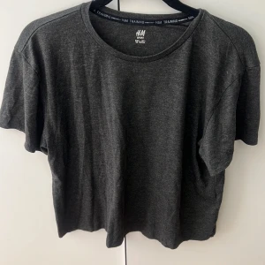 Tränings tröja  - Tränings t-shirt från H&M. Sparsamt använd, jättefint skick! Storlek L men passar mig som är en S/M 🩶