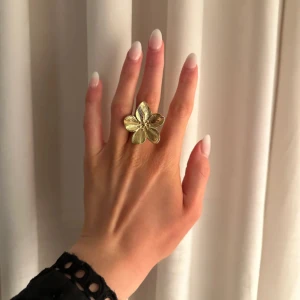 Blom ring  - Blom ring rostar inte 