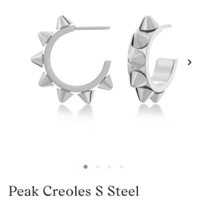 Edblad nitöehängen - Silvriga nit örhängen från Edblad! 💛💛 nypris: 400kr