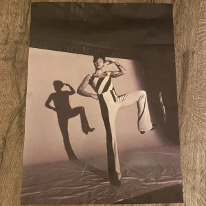 Harry styles poster - Poster