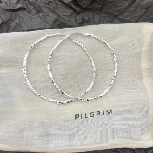 Säljer dessa helt nya örhängen från pilgrim (deras nya vårkollektion ) vet inte om de säljs än ⭐️ Ny pris 399 kr 💕 (Pris kan diskuteras vid snabbt köp )